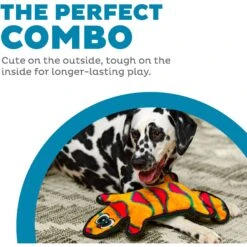 Outward Hound Invincibles Geckos Squeaky Stuffing-Free Plush Dog Toy 7 Outward Hound Invincibles Geckos Squeaky Stuffing-Free Plush Dog Toy -PetSafe Kong Shop 85913 PT1. AC SS1800 V1636496568