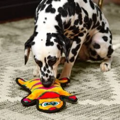 Outward Hound Invincibles Geckos Squeaky Stuffing-Free Plush Dog Toy 10 Outward Hound Invincibles Geckos Squeaky Stuffing-Free Plush Dog Toy -PetSafe Kong Shop 85913 PT4. AC SS1800 V1636512722