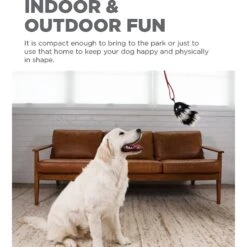 Outward Hound Tail Teaser With Refill Dog & Cat Teaser Toy -PetSafe Kong Shop 85934 PT2. AC SS1800 V1636518395