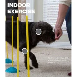 Outward Hound Zip & Zoom Indoor Agility Kit For Dogs -PetSafe Kong Shop 85937 PT3. AC SS1800 V1636497810
