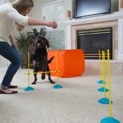 Outward Hound Zip & Zoom Indoor Agility Kit For Dogs -PetSafe Kong Shop 85937 PT5. AC SS1800 V1636497151