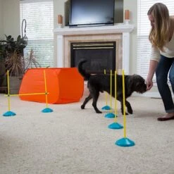 Outward Hound Zip & Zoom Indoor Agility Kit For Dogs -PetSafe Kong Shop 85937 PT6. AC SS1800 V1636520218
