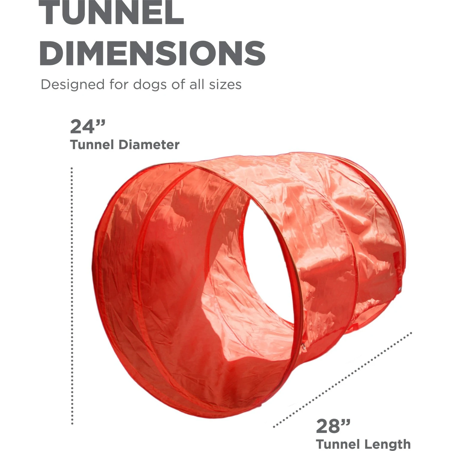 Outward Hound Zip & Zoom Outdoor Agility Kit For Dogs 5 Outward Hound Zip & Zoom Outdoor Agility Kit For Dogs - Image 5