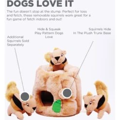 Outward Hound Hide A Squirrel Squeaky Puzzle Plush Dog Toy -PetSafe Kong Shop 86003 PT2. AC SS1800 V1692391567