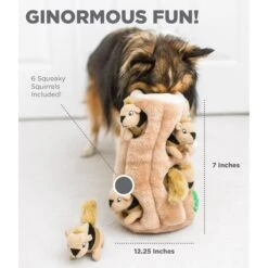 Outward Hound Hide A Squirrel Squeaky Puzzle Plush Dog Toy -PetSafe Kong Shop 86003 PT3. AC SS1800 V1692391626