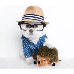 Outward Hound HedgehogZ Squeaky Plush Dog Toy 17 Outward Hound HedgehogZ Squeaky Plush Dog Toy -PetSafe Kong Shop 86026 PT8. AC SS1800 V1636497809