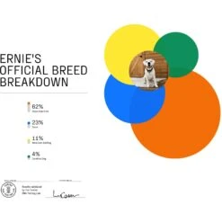 DNA My Dog Premium Breed Identification Test -PetSafe Kong Shop 862766 PT2. AC SS1800 V1685738293