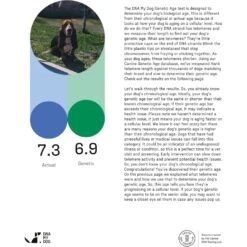 DNA My Dog Premium Breed Identification Test -PetSafe Kong Shop 862766 PT3. AC SS1800 V1685738293