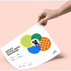 DNA My Dog Premium Breed Identification Test -PetSafe Kong Shop 862766 PT4. AC SS1800 V1685738293