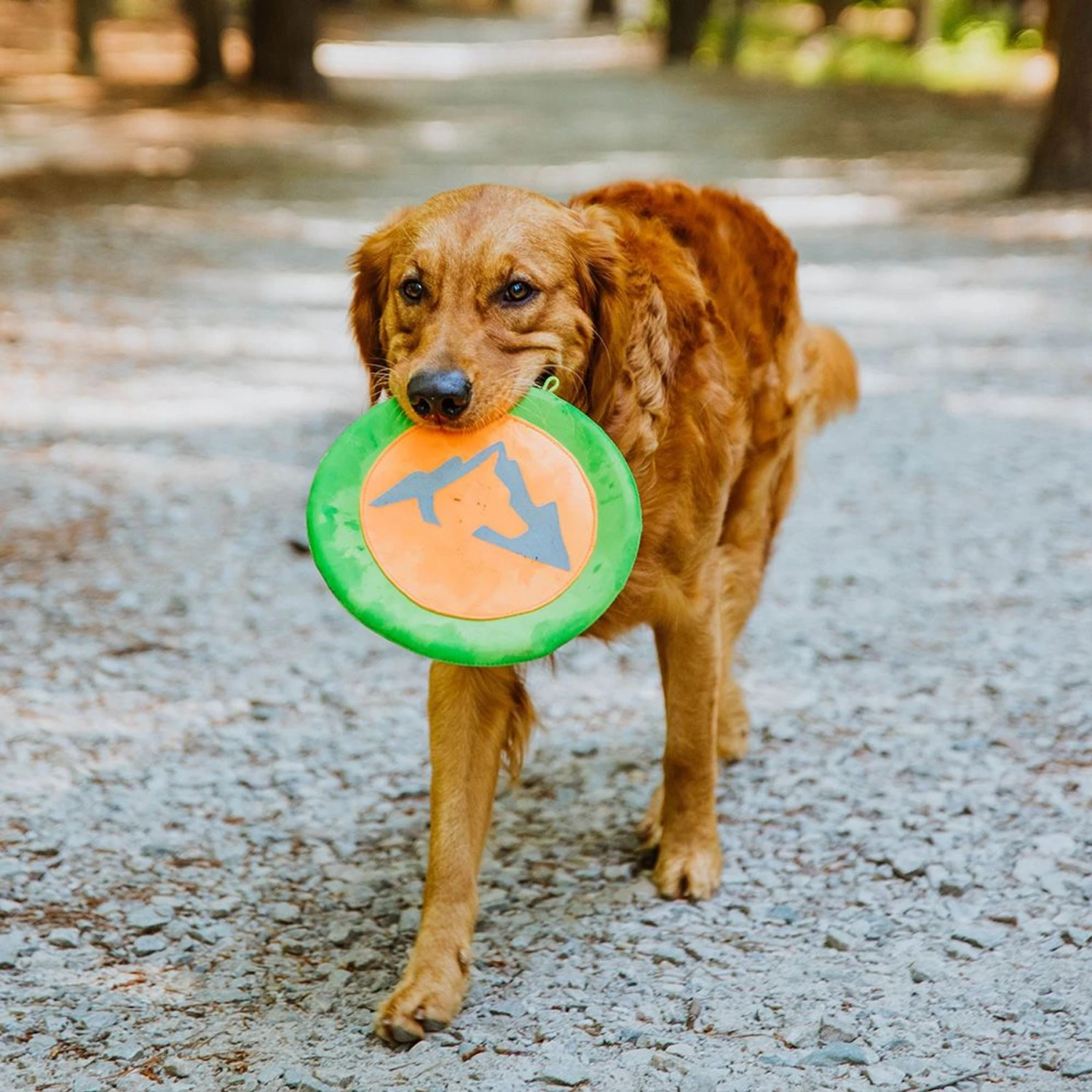 Hound2O Reflective Flyer Dog Toy 3 Hound2O Reflective Flyer Dog Toy - Image 3