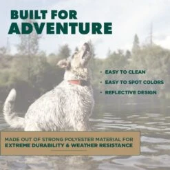 Hound2O Reflective Flyer Dog Toy 11 Hound2O Reflective Flyer Dog Toy -PetSafe Kong Shop 863726 PT4. AC SS1800 V1687286170