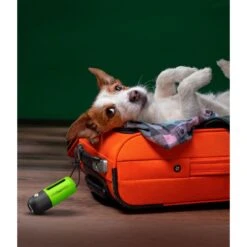 ConairPROPET LED Poop Bag Dispenser With Bungee Cord Loop -PetSafe Kong Shop 866502 PT4. AC SS1800 V1689632026