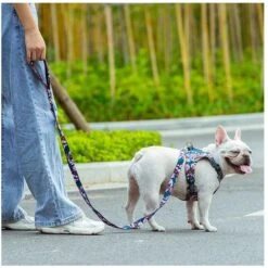 Chai's Choice Premium Floral Training Dog Leash -PetSafe Kong Shop 871958 PT3. AC SS1800 V1687356035