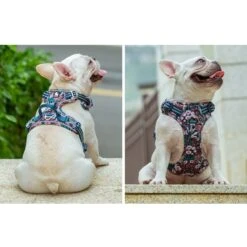 Chai's Choice Premium Floral Dog Harness 13 Chai's Choice Premium Floral Dog Harness -PetSafe Kong Shop 872110 PT4. AC SS1800 V1687289630