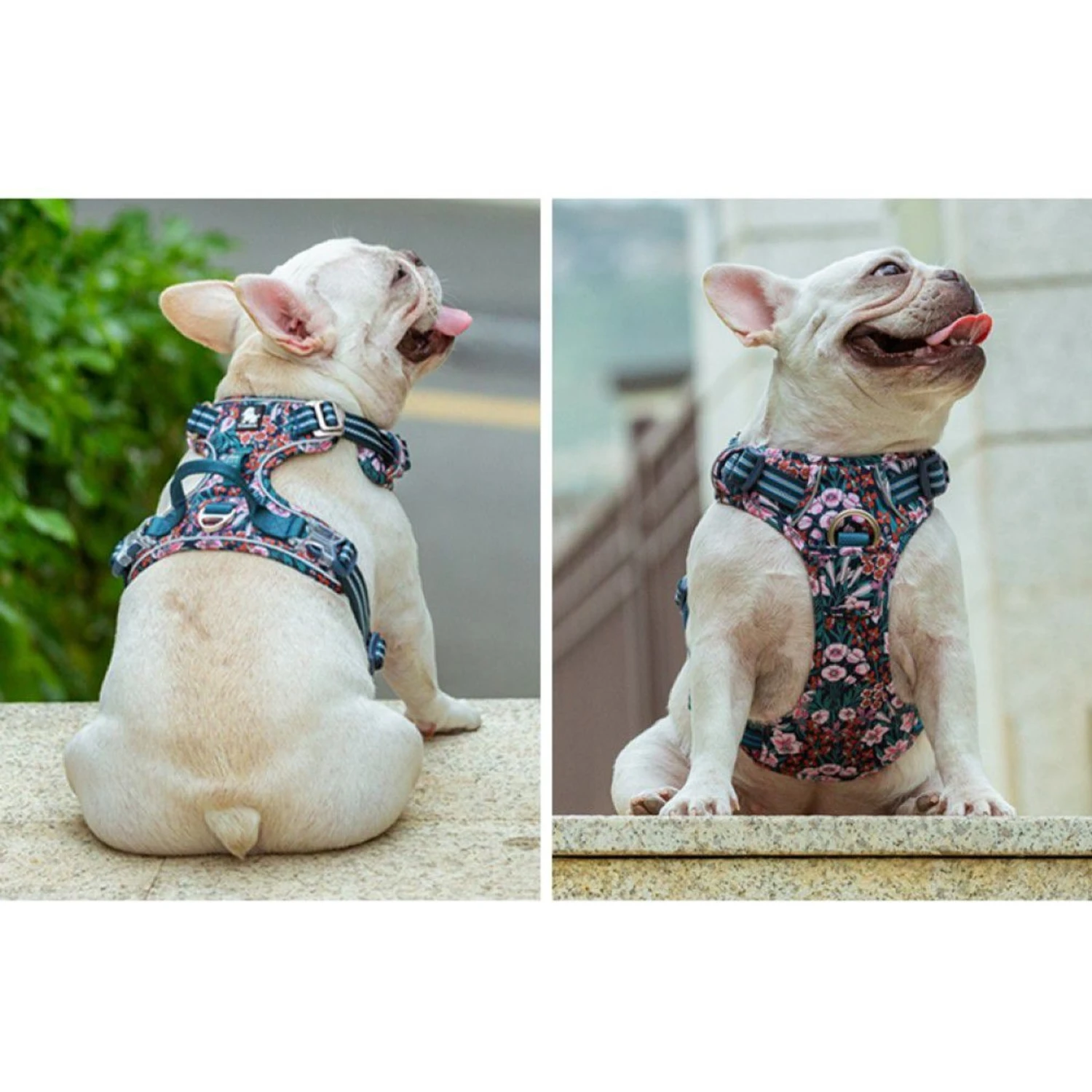 Chai's Choice Premium Floral Dog Harness 5 Chai's Choice Premium Floral Dog Harness - Image 5