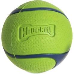 Chuckit! Sniff Fetch Ball Dog Toy, Medium 5 Chuckit! Sniff Fetch Ball Dog Toy, Medium -PetSafe Kong Shop 872198 PT2. AC SS1800 V1687799975