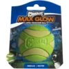 Chuckit! Max Glow Ultra Squeaker Ball Dog Toy, Medium