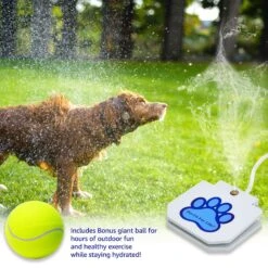 Pet Fit For Life Dog Step-on Sprinkler Dog Toy, Silver -PetSafe Kong Shop 872438 PT2. AC SS1800 V1686249903