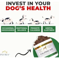 PetScy Calming Aid Dog Soft & Chew Treat 10 PetScy Calming Aid Dog Soft & Chew Treat -PetSafe Kong Shop 882550 PT3. AC SS1800 V1689275442