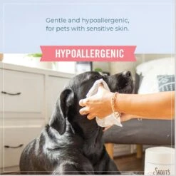 Skout's Honor Happy Puppy Probiotic Daily Use Cat & Dog Deodorizing Spray, 8-oz Bottle & Skout's Honor Dog, Cat & Small Pet Grooming Wipes, 80 Count 16 Skout's Honor Happy Puppy Probiotic Daily Use Cat & Dog Deodorizing Spray, 8-oz Bottle & Skout's Honor Dog, Cat & Small Pet Grooming Wipes, 80 Count -PetSafe Kong Shop 882566 PT7. AC SS1800 V1686083722