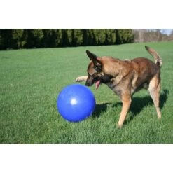 Jolly Pets 14" Push-n-Play Dog Toy -PetSafe Kong Shop 88439 PT1. AC SS1800 V1629249127