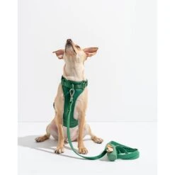 Wild One Adjustable Waterproof Flex-Poly Coated Nylon Leash -PetSafe Kong Shop 885262 PT2. AC SS1800 V1689945850