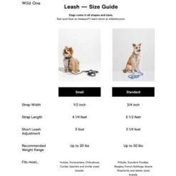 Wild One Adjustable Waterproof Flex-Poly Coated Nylon Leash -PetSafe Kong Shop 885262 PT3. AC SS1800 V1689965091