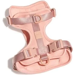 Wild One Adjustable Cushioned Dog Harness