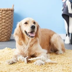 KONG Wild Elk Antler Dog Toy 9 KONG Wild Elk Antler Dog Toy -PetSafe Kong Shop 88751 PT4. AC SS1800 V1605347222