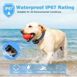 GroovyPets 1100 Yard Remote Dog Training Shock Collar, Black -PetSafe Kong Shop 889678 PT4. AC SS1800 V1688573719