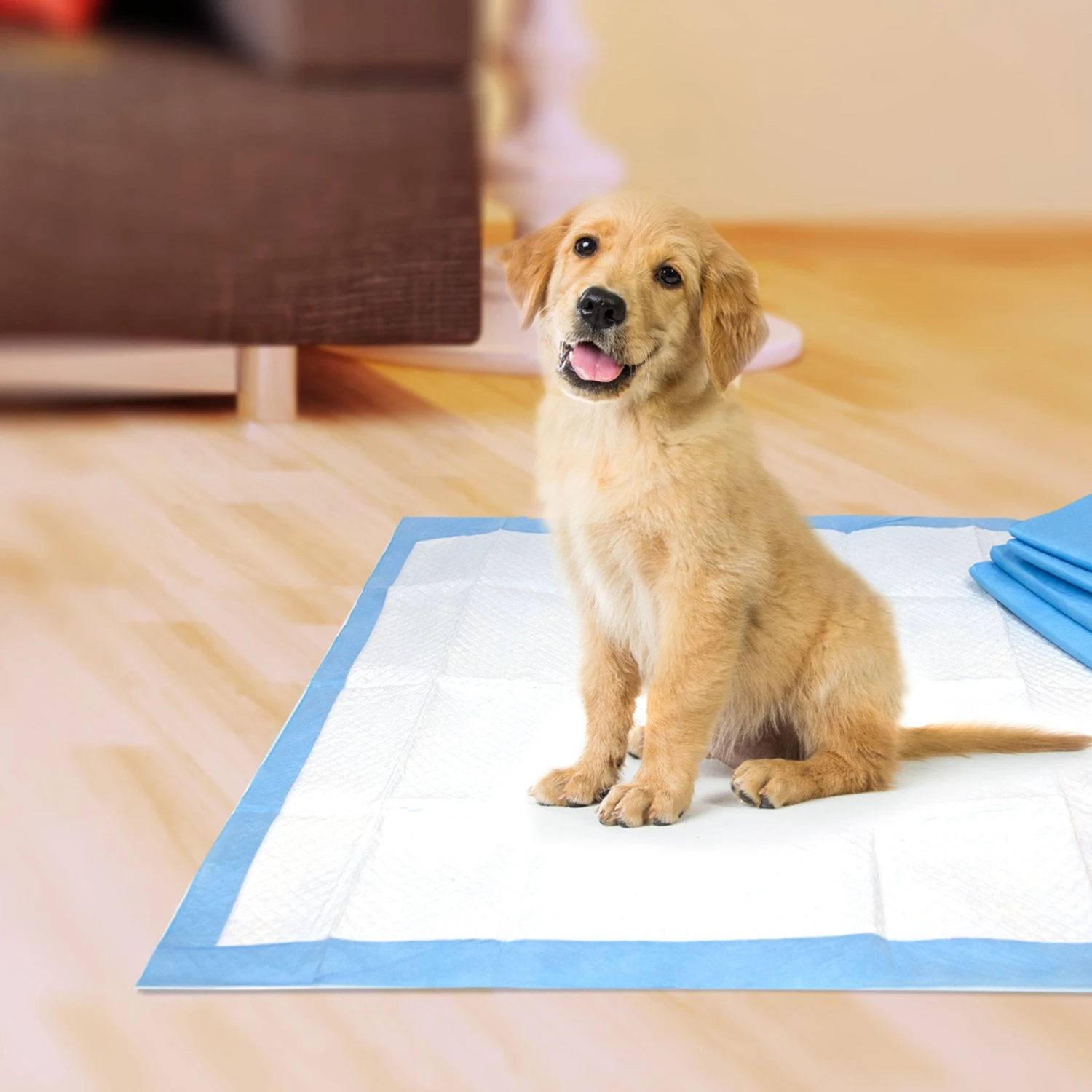 Four Paws Pet Select Pee Pee Pads For Dogs 5 Four Paws Pet Select Pee Pee Pads For Dogs - Image 5