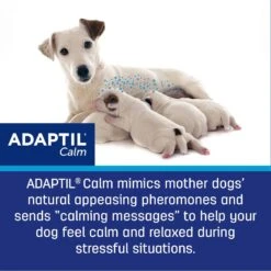 Adaptil Calming Diffuser Refill For Dogs -PetSafe Kong Shop 89163 PT6. AC SS1800 V1690574280