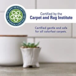 Rocco & Roxie Supply Co. Professional Strength Pet Stain & Odor Eliminator -PetSafe Kong Shop 89268 PT6. AC SS1800 V1702071410