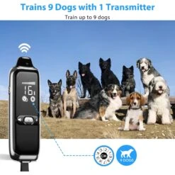Petdiary T300 Waterproof Dog Remote Training Collar, Black -PetSafe Kong Shop 892774 PT2. AC SS1800 V1689687984