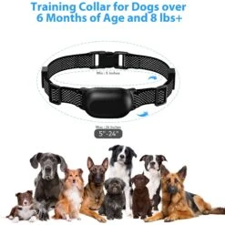 Petdiary T300 Waterproof Dog Remote Training Collar, Black -PetSafe Kong Shop 892774 PT5. AC SS1800 V1689632119