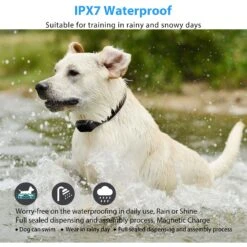 Petdiary T330 Waterproof Dog Remote Training Collar, Black -PetSafe Kong Shop 892790 PT3. AC SS1800 V1689631495