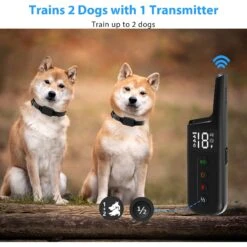 Petdiary T330 Waterproof Dog Remote Training Collar, Black -PetSafe Kong Shop 892790 PT4. AC SS1800 V1689630638