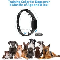 Petdiary T330 Waterproof Dog Remote Training Collar, Black -PetSafe Kong Shop 892790 PT6. AC SS1800 V1689689073