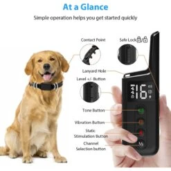 Petdiary T330 Waterproof Dog Remote Training Collar, Black -PetSafe Kong Shop 892790 PT7. AC SS1800 V1689687871