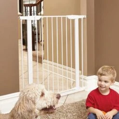 MidWest Steel Pet Gate -PetSafe Kong Shop 89408 PT4. AC SS1800 V1679000407