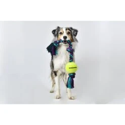 Mammoth Color 3 Knot Rope Tug With Tennis Ball For Dogs, Color Varies -PetSafe Kong Shop 89513 PT3. AC SS1800 V1633022259