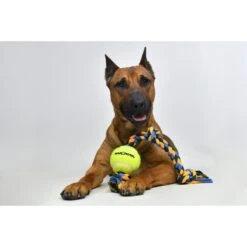 Mammoth Color 3 Knot Rope Tug With Tennis Ball For Dogs, Color Varies -PetSafe Kong Shop 89513 PT6. AC SS1800 V1633020992
