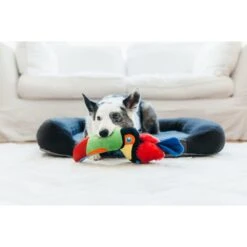 P.L.A.Y. Pet Lifestyle And You Fetching Flock Collection Tito The Toucan Plush Squeaky Dog Toy -PetSafe Kong Shop 895822 PT3. AC SS1800 V1689966510