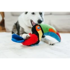 P.L.A.Y. Pet Lifestyle And You Fetching Flock Collection Tito The Toucan Plush Squeaky Dog Toy -PetSafe Kong Shop 895822 PT4. AC SS1800 V1689793858