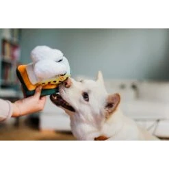 P.L.A.Y. Pet Lifestyle And You Canine Commute Collection Fetching Ferry Plush Squeaky Dog Toy -PetSafe Kong Shop 895886 PT4. AC SS1800 V1689963556