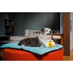 P.L.A.Y. Pet Lifestyle And You Hollywoof Cinema Collection Hoppy Hound Brew Plush Squeaky Dog Toy -PetSafe Kong Shop 895950 PT3. AC SS1800 V1689961708