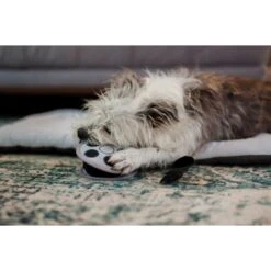 P.L.A.Y. Pet Lifestyle And You Hollywoof Cinema Collection Momo Movie Reel Plush Squeaky Dog Toy -PetSafe Kong Shop 895982 PT3. AC SS1800 V1689954394