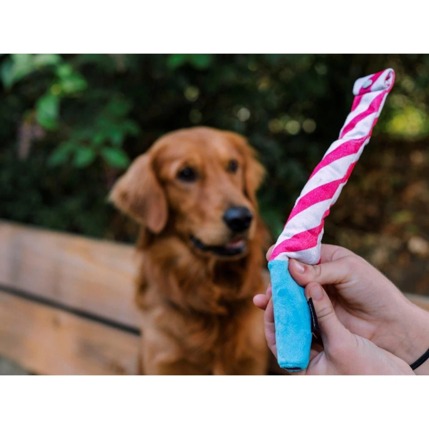 P.L.A.Y. Pet Lifestyle And You Party Time Collection Raise The Woof Party Horn Plush Squeaky Dog Toy 6 P.L.A.Y. Pet Lifestyle And You Party Time Collection Raise The Woof Party Horn Plush Squeaky Dog Toy - Image 6