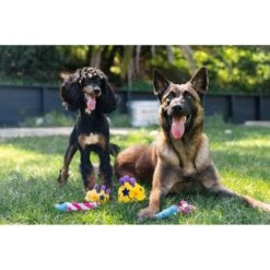 P.L.A.Y. Pet Lifestyle And You Party Time Mini Party Horn Plush Squeaky Dog Toy, X-Small -PetSafe Kong Shop 896334 PT3. AC SS1800 V1689793814