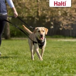 Halti Nylon Training Dog Lead -PetSafe Kong Shop 89647 PT4. AC SS1800 V1694811567